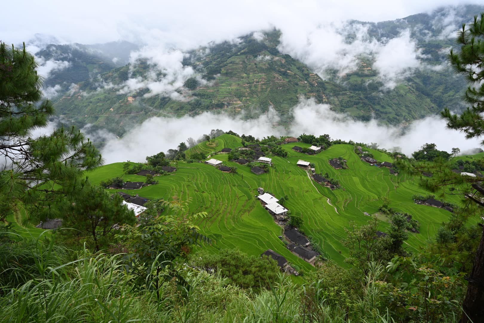 Darjeeling Travel Guide