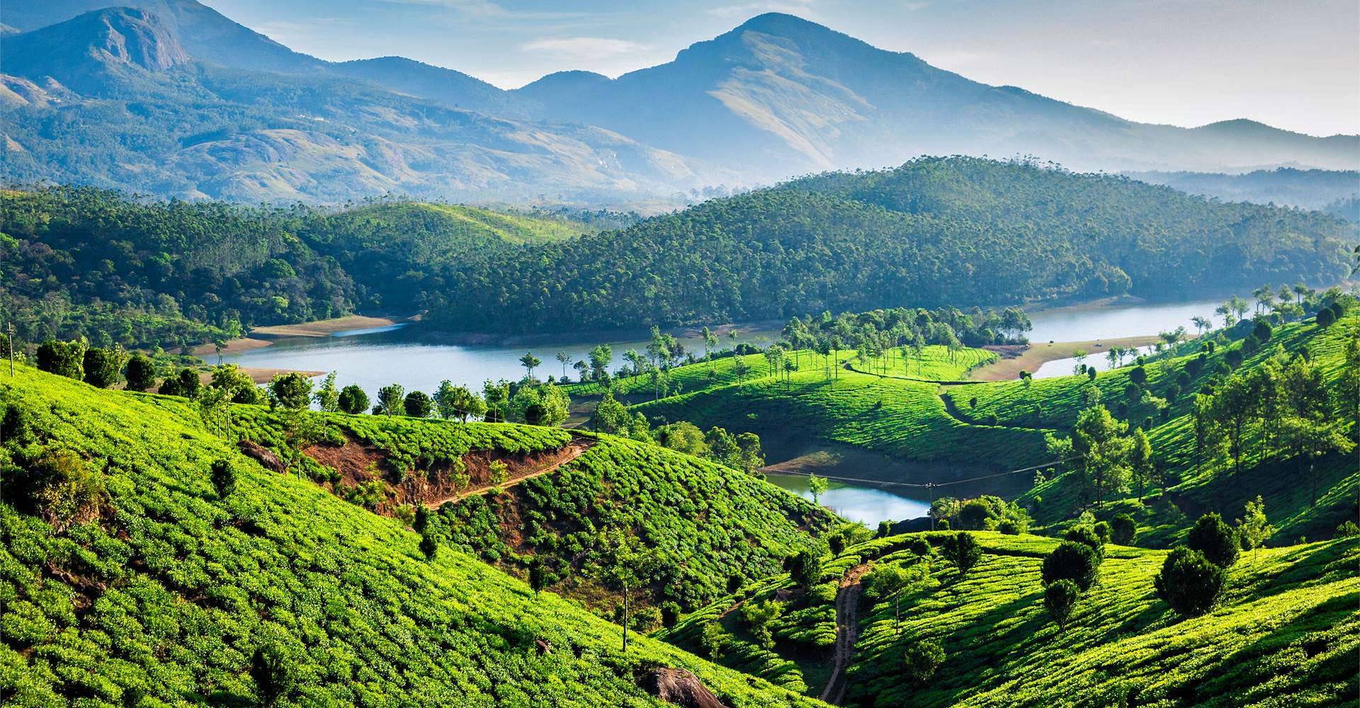 Munnar summer destination 2025